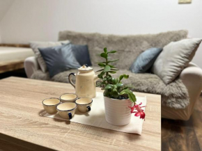 Apartmán KUGA
